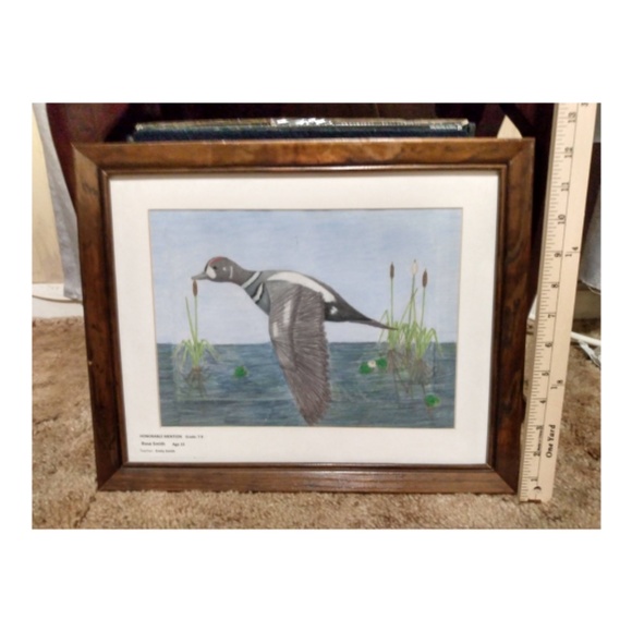 Hand-drawn pencil portrait of a duck - Picture 4 of 5